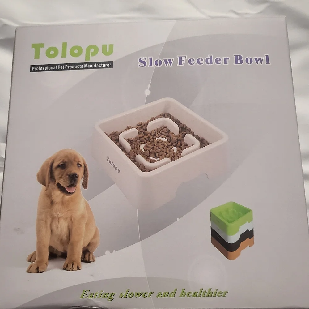 Slow feeder bowl